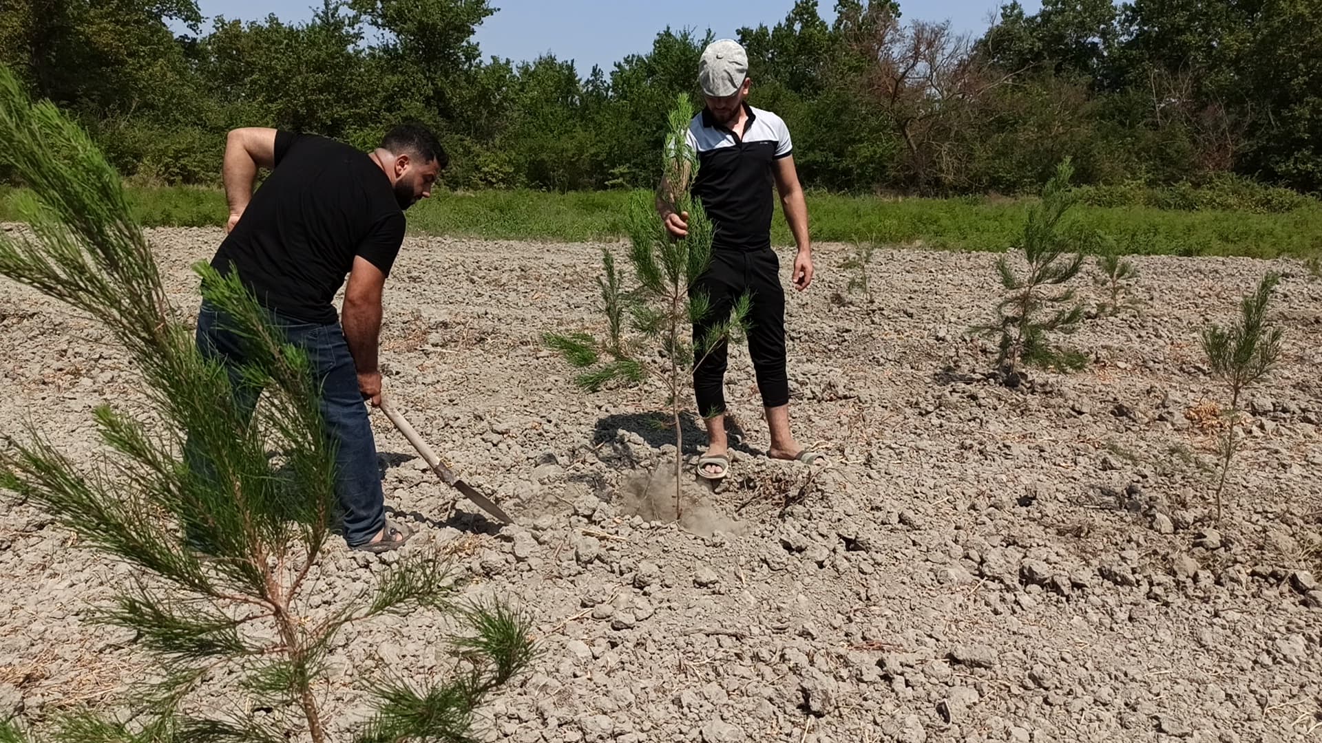 Şabranda layihənin icrası başa çatıb