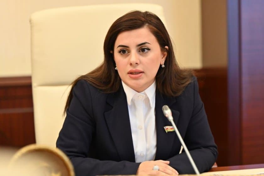 Pərvanə Vəliyeva: “Tibb işçilərinin əməkhaqlarının artırılması insan kapitalına mühüm investisiyadır”