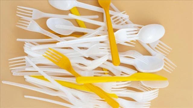 BPA-nın insulin həssaslığını azaltdığı ilk dəfə insanlarda nümayiş etdirilib