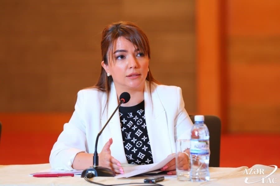 Aygün Əliyeva: Agentlik hər hansı bir aksiyanın keçirilməsindən asılı olmayaraq qrant müsabiqələri keçirir