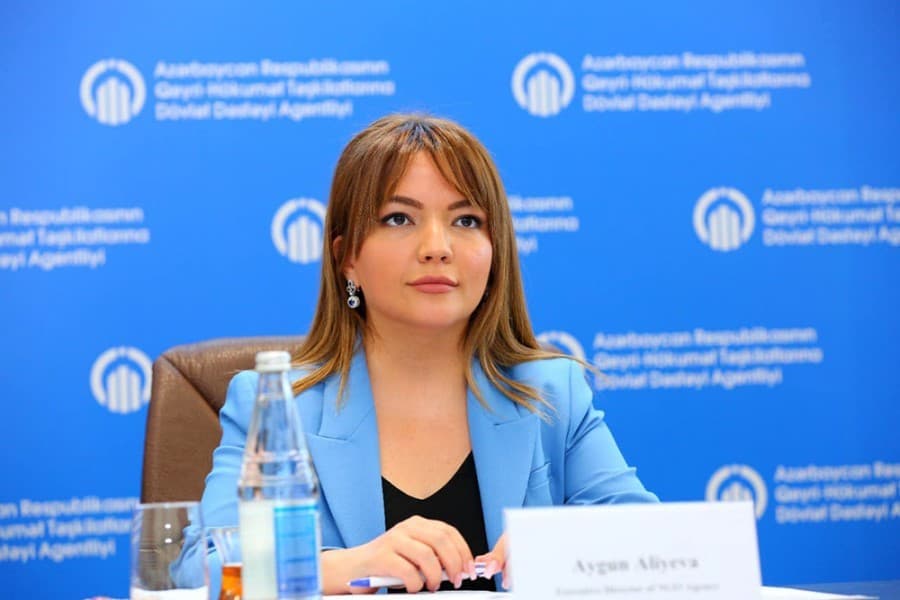 Aygün Əliyeva: "2 ildə Agentlik nizamnamə məqsədlərinə uyğun önəmli fəaliyyət göstərib"