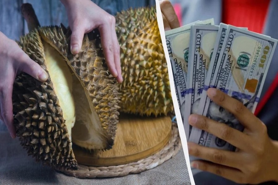 Asiyada bu meyvəni yeməyə görə 100 dollar cərimə ala bilərsiniz