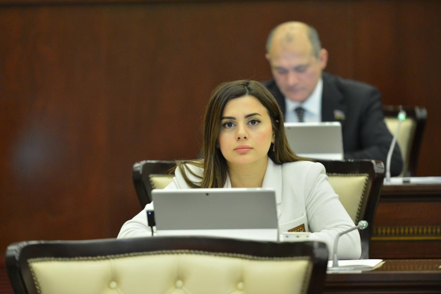 Pərvanə Vəliyeva: "Azərbaycan QHT-ləri artıq yeni müstəvidə fəaliyyət göstərir"