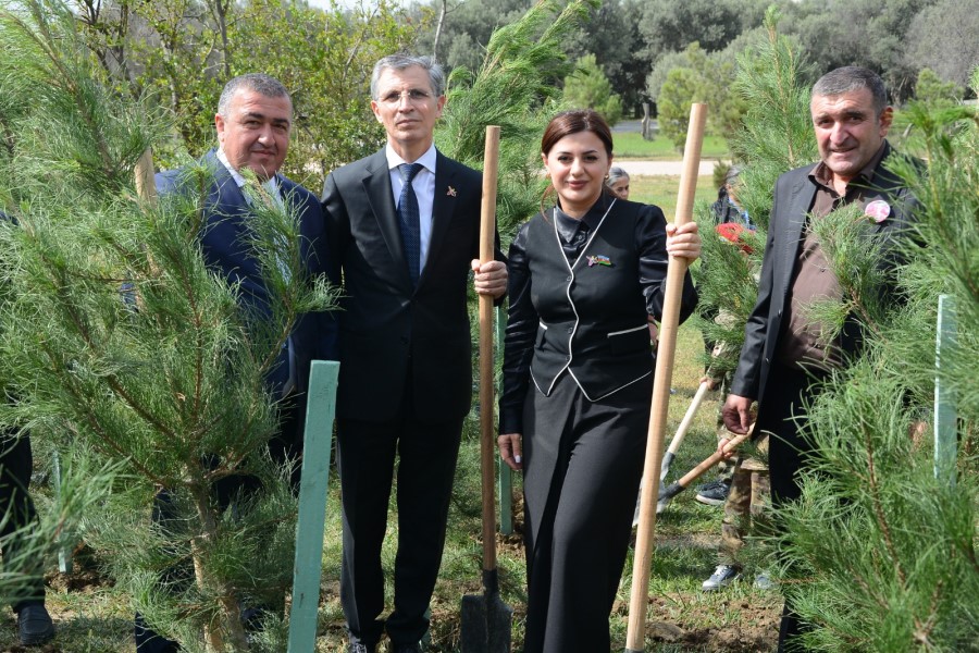 Anım Günü ilə əlaqədar Xətai rayonunda ağacəkmə aksiyası keçirilib - FOTOLAR