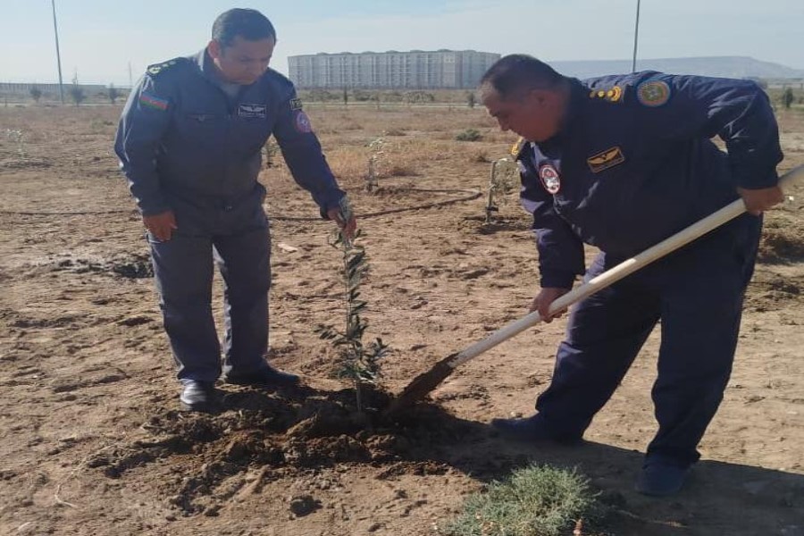 FHN Aviasiya dəstəsi ağacəkmə aksiyası keçirib - FOTOLAR
