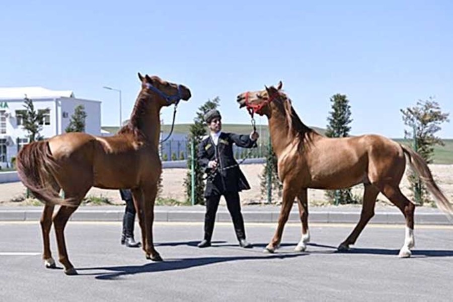 Qarabağ atları - Səməd Vəkilov yazır