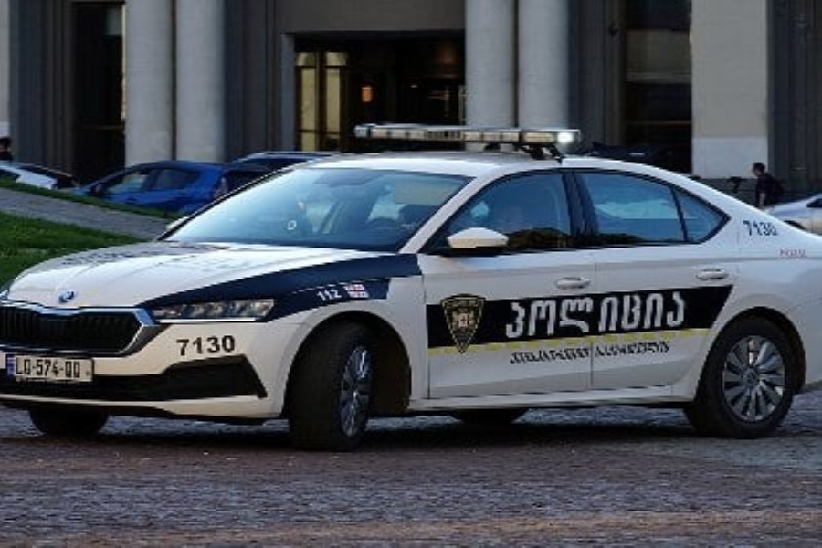 Gürcüstanda oğrular dünyası ilə əlaqəli 49 nəfər saxlanılıb