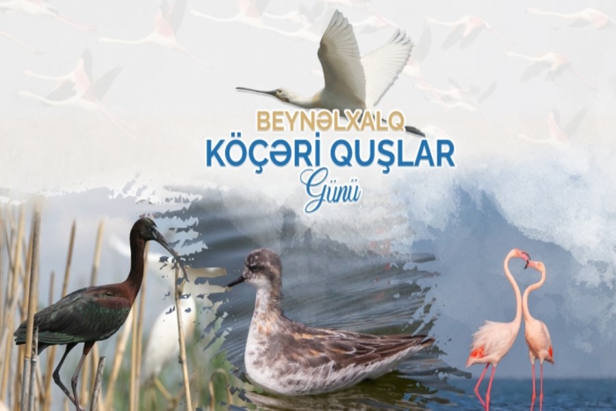 QHT sədri quşların mühafizəsində icmaların rolundan danışdı