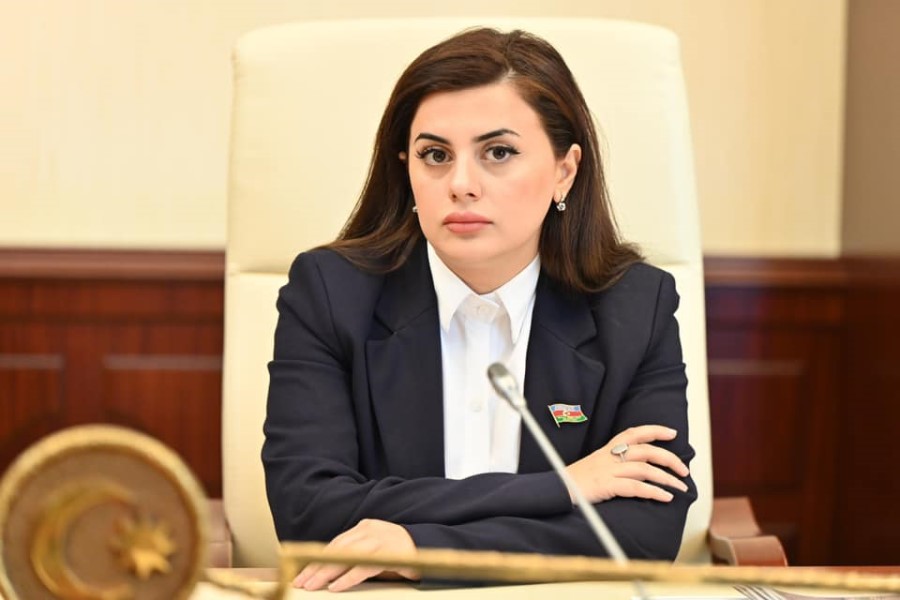 Diplomatik xidmət haqqında yeni qanun layihəsinin şərhi
