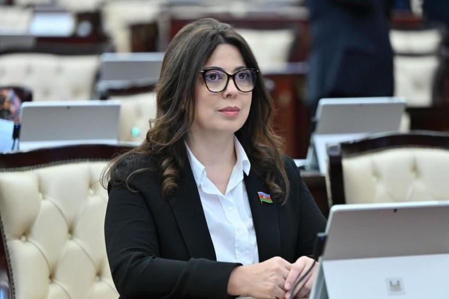 Səbinə Salmanova: “Qərbi azərbaycanlıların öz yurd-yuvalarına qayıdışı tarixi zərurətdir”