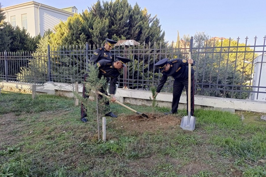 FHN-in Bakı Regional Mərkəzi ağacəkmə aksiyası keçirib - FOTOLAR