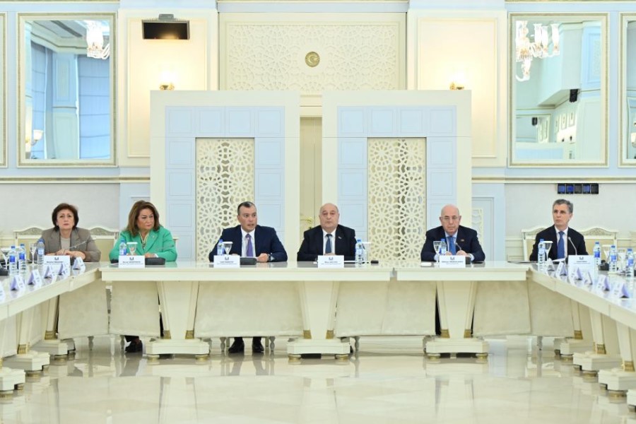 Milli Məclisdə “Heydər Əliyev - 100: Müasir Azərbaycan-sosial rifah və sosial ədalət dövləti” mövzusunda elmi-praktik konfrans keçirilib