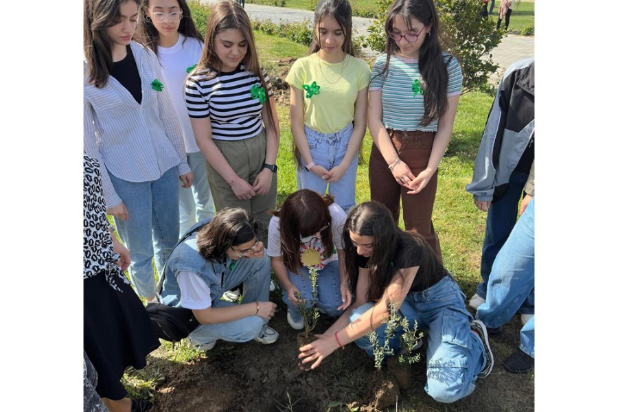 “Yalnız bir DÜNYA” adlı ağacəkmə aksiyasında