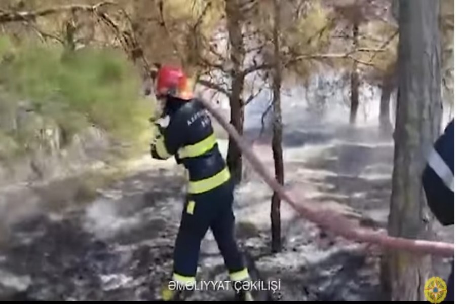 FHN: 57 nəfər xilas edilib, 13 nəfər xəsarət alıb, 8 nəfər təxliyə olunub, 10 nəfər həyatını itirib /VİDEO