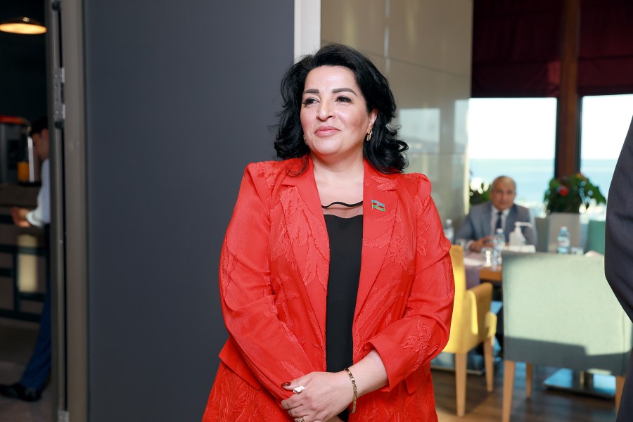 Millət vəkili: E-nəzarət platformasının işi cəmiyyət üçün faydalıdır