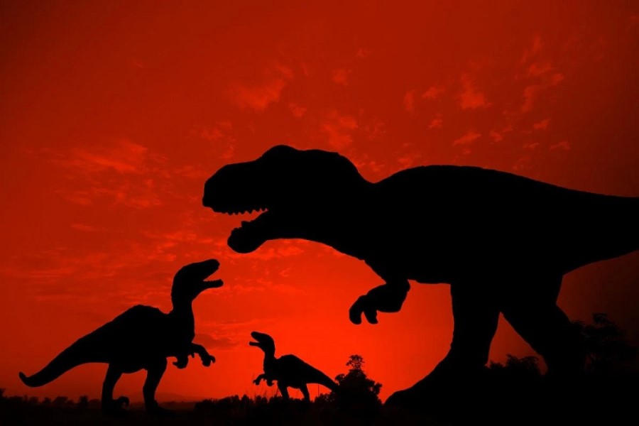 Yeni dinozavr növü kəşf edilib- “cəhənnəmdən gələn toyuq”