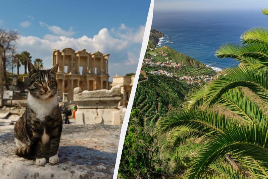 Bu il turistlərin Google-da ən çox axtardıqları ölkə və şəhərlər?