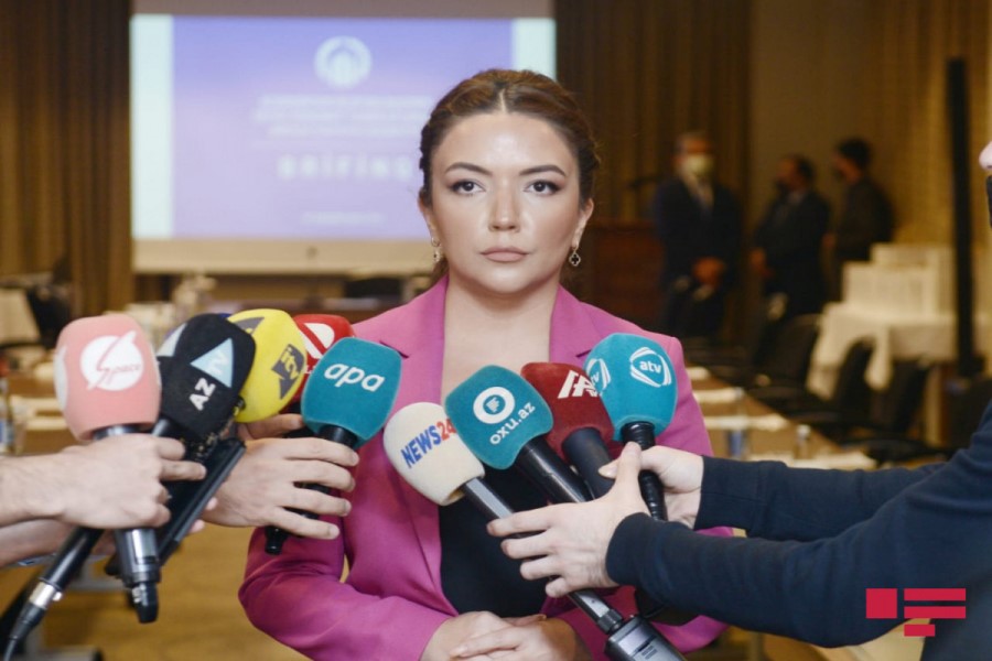 Aygün Əliyeva: Agentlik QHT-lərin beynəlxalq əməkdaşlığının gücləndirilməsi istiqamətində müxtəlif fəaliyyətlər icra edir