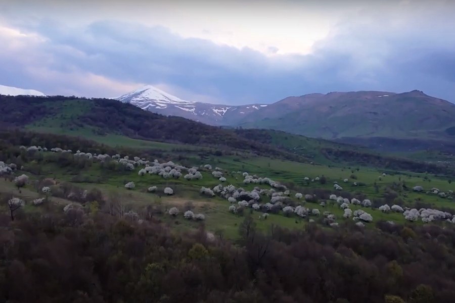 "Dağlarda obam qaldı" filmi ictimaiyyətə təqdim olunacaq -VİDEO