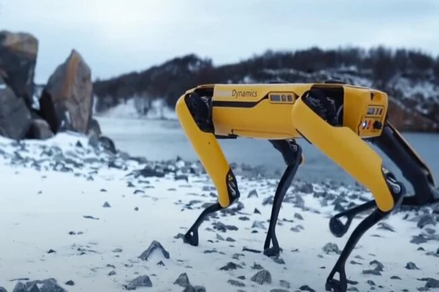 Çimərlik təmizləyici robot hazırlanıb - VİDEO