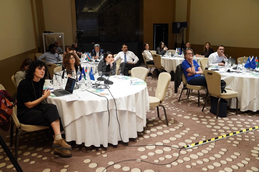 “Minatəmizləmədə gender məsələsi üzrə qabaqcıl təcrübələrə dair beynəlxalq seminar” - FOTOLAR