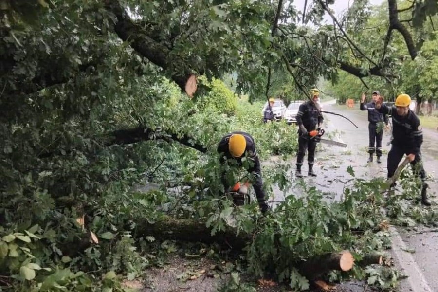 İrigövdəli ağacın aşması nəticəsində magistiral yol bağlanıb