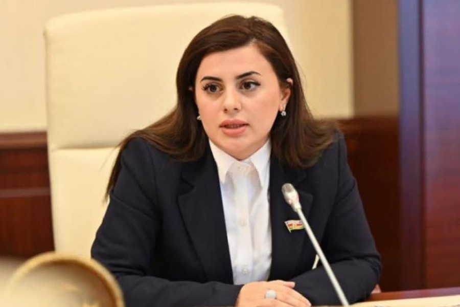 “Ərzaq təhlükəsizliyi iqlim və su siyasətindən birbaşa asılıdır” - Pərvanə Vəliyeva ilə MÜSAHİBƏ