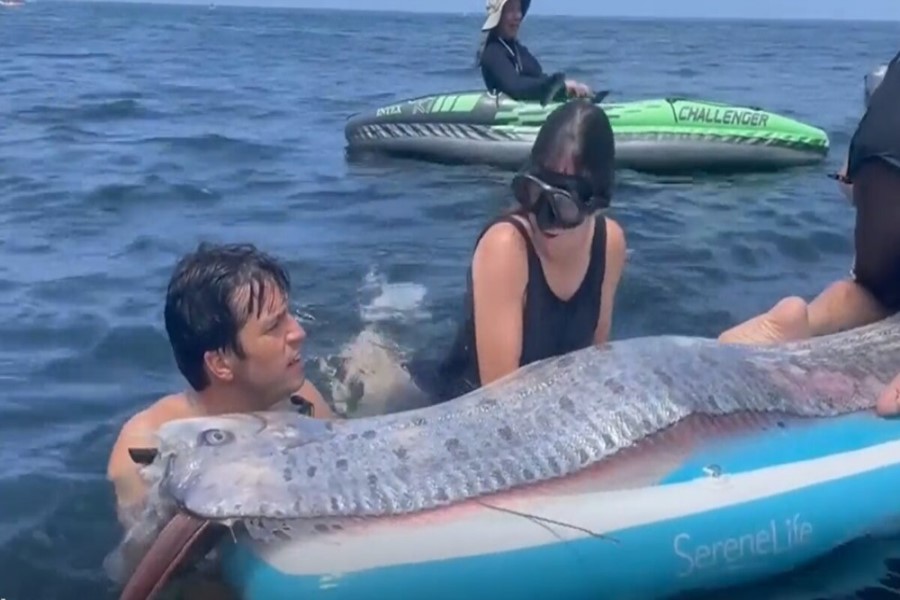 Sakit okeanda alimlər nadir balıq tapıblar