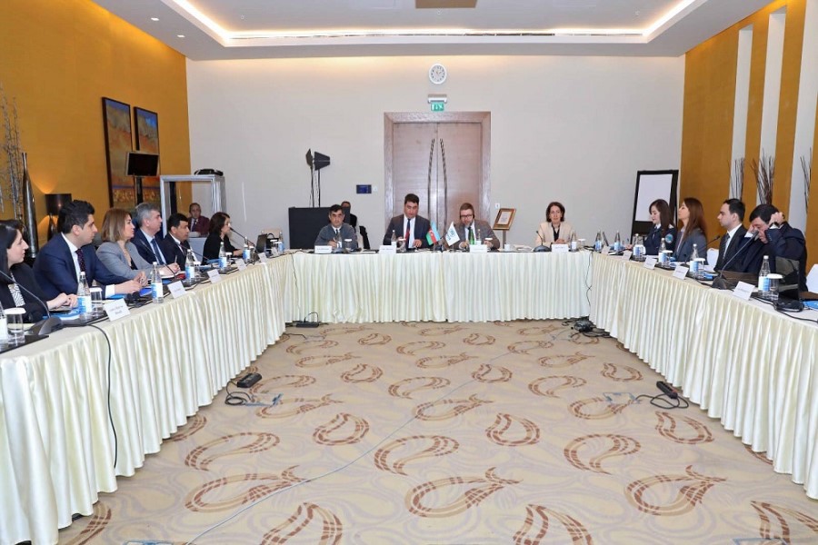 Azərbaycanda Vətəndaşlıq Məsələləri üzrə İşçi Qrupunun iclası keçirilib - FOTOLAR