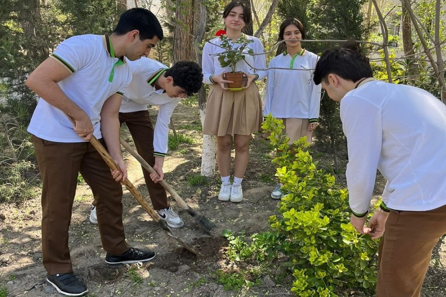 “Yalnız bir DÜNYA” adlı ağacəkmə aksiyası keçirilib- FOTOLAR