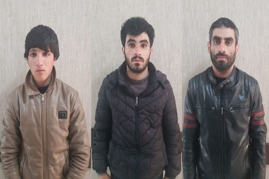 Bakıda 11 evdən oğurluq edən iki qardaş saxlanılıb - VİDEO