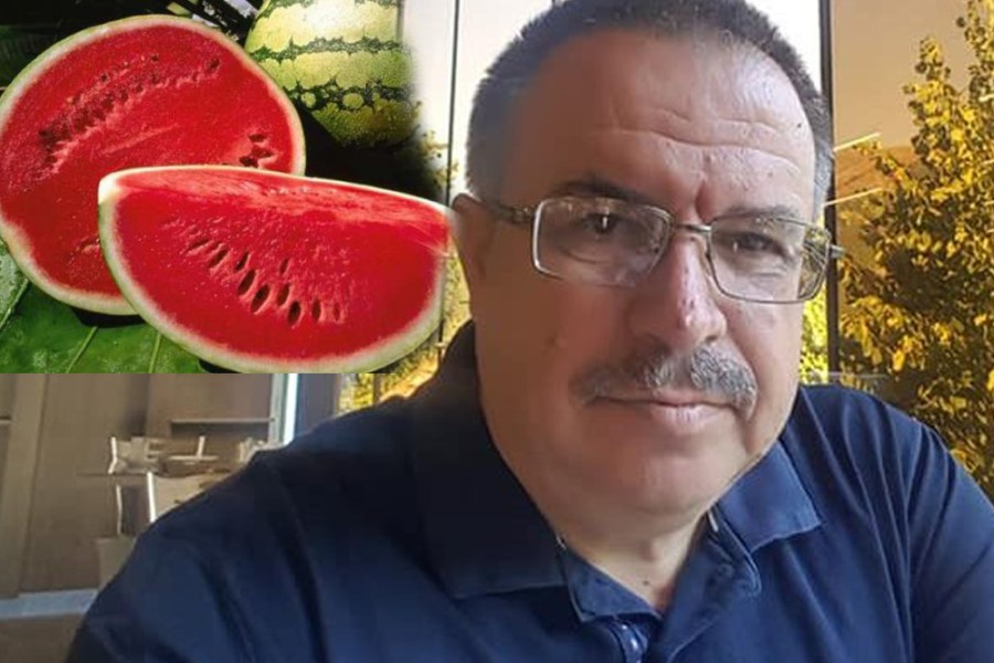 "Qarpızın qabığını sabun ilə yuyun, çünki qabığında parazitlərin süfrələri var" - prof., dr. Vuqar Mikayilov