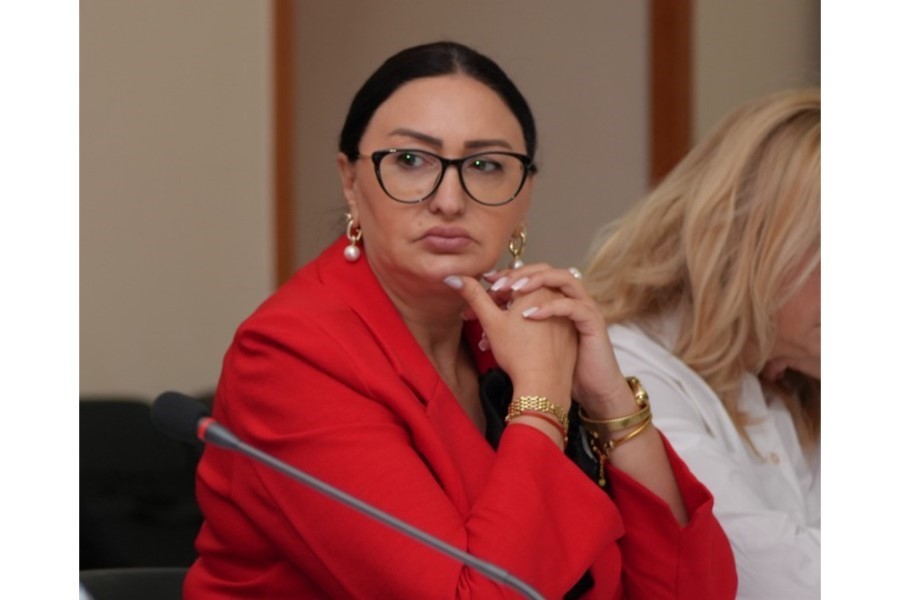 Zülfiyyə Nuriyeva: "Sosial xidmətlərdə "DOST" qapısı vətəndaş üçün ən yaxşı modeldir"