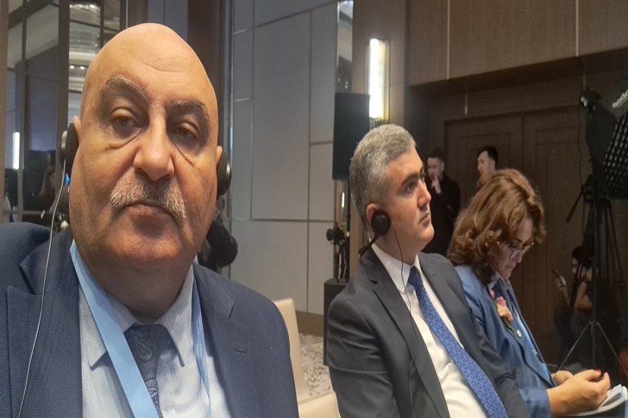 Rauf Zeyni: “İtkin düşmüş şəxslərin ailələrilə bilavasitə məşğul olan QHT-lər üçün yeni imkanlar yaranır”