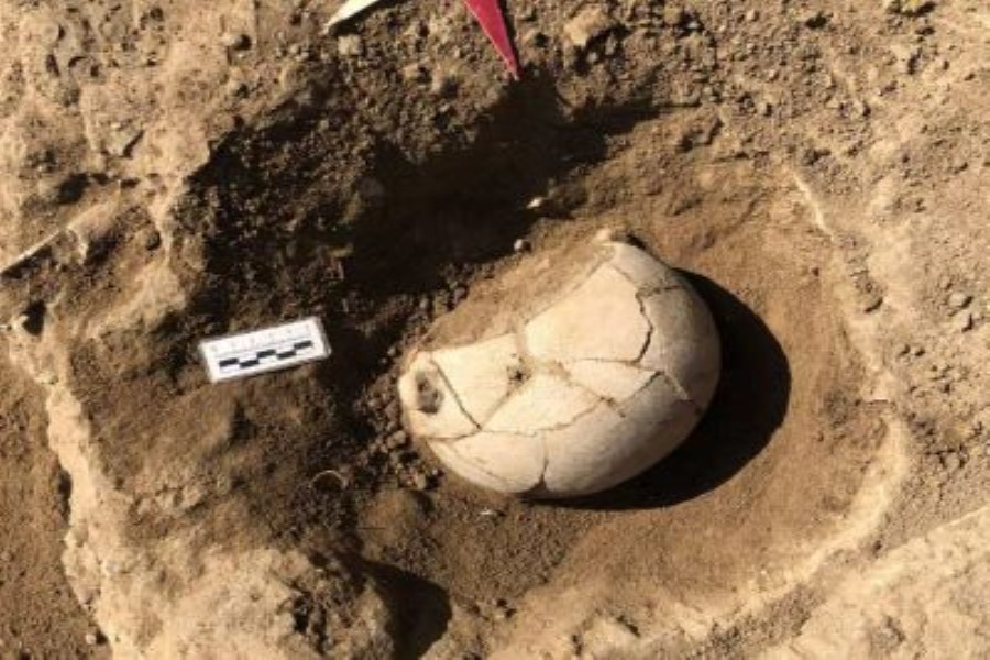 Meksikada sümüklərlə dolu qədim dəfn tapılıb