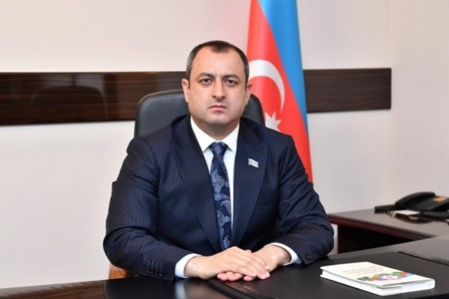 Adil Əliyev: XXI əsrdir, amma Fransa hələ də kolonial siyasət həyata keçirir