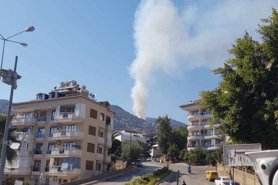Antalyada meşəlik ərazidə yanğın baş verib