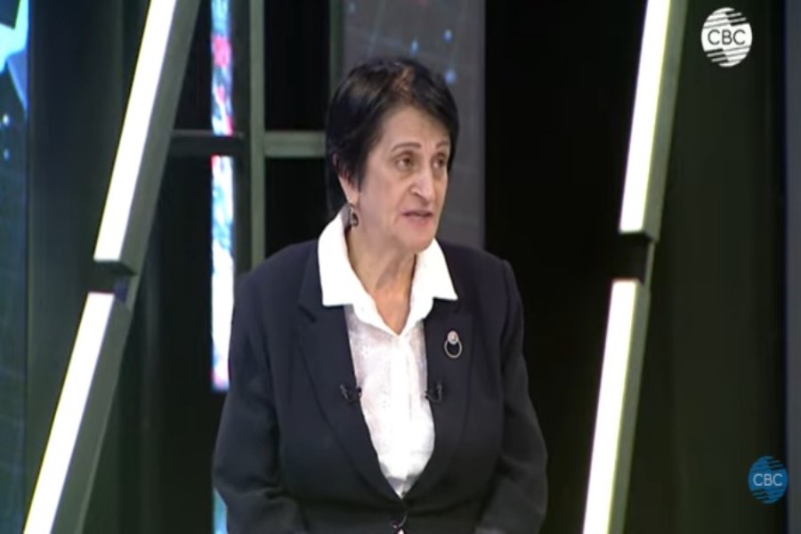 "Sülhün təməli qarşılıqlı etimad və anlayış üzərində qurulmalıdır” - İradə Rizazə/ VİDEO