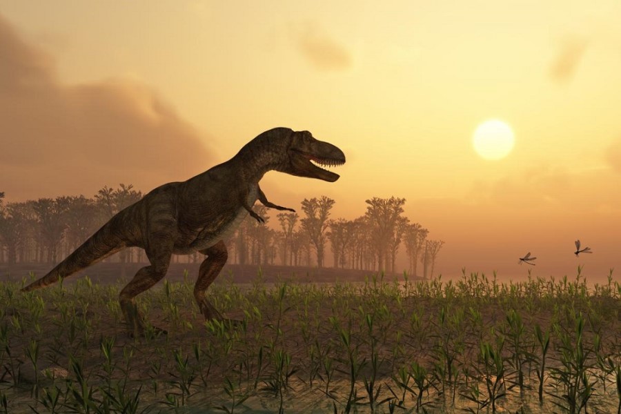 Elm adamları yeni dinozavr növünü kəşf ediblər