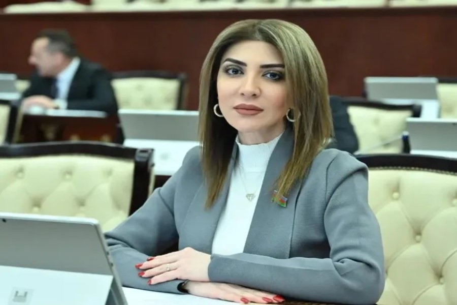 Günay Ağamalı: QHT.az vətəndaş cəmiyyəti institutlarının inkişafı və sosial fəallığın təşviqi istiqamətində mühüm bir platformaya çevrilib