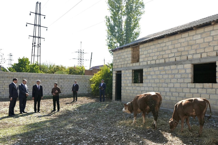 Bərdədə özünüməşğulluq proqramı çərçivəsində qurulmuş təsərrüfatlara və “DOST Evi”nə baxış olub - FOTOLAR