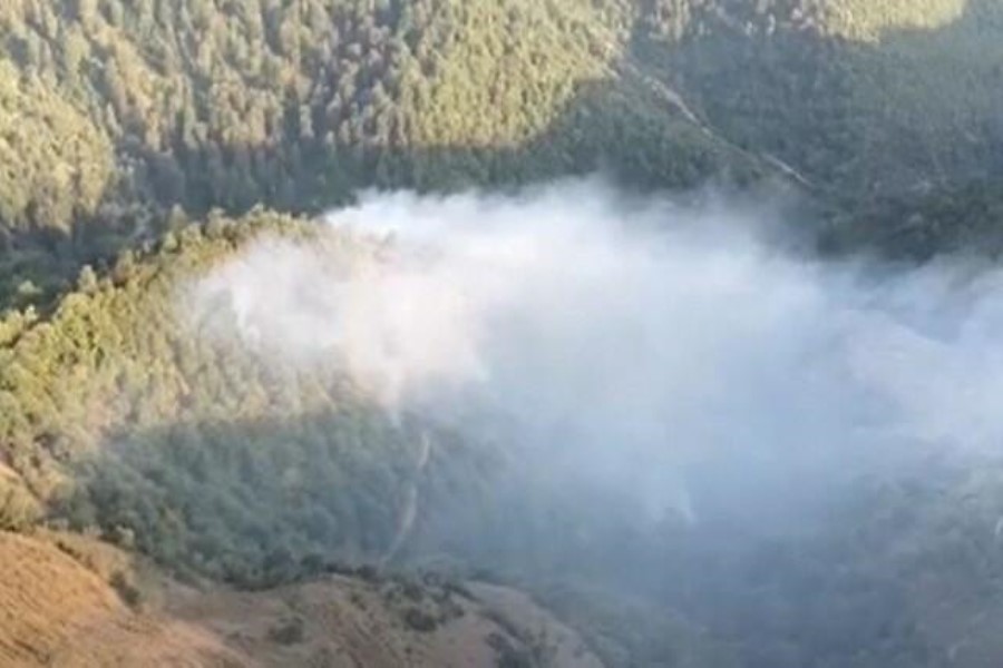 Qızılağac Milli Parkındakı yanğın tam söndürüldü