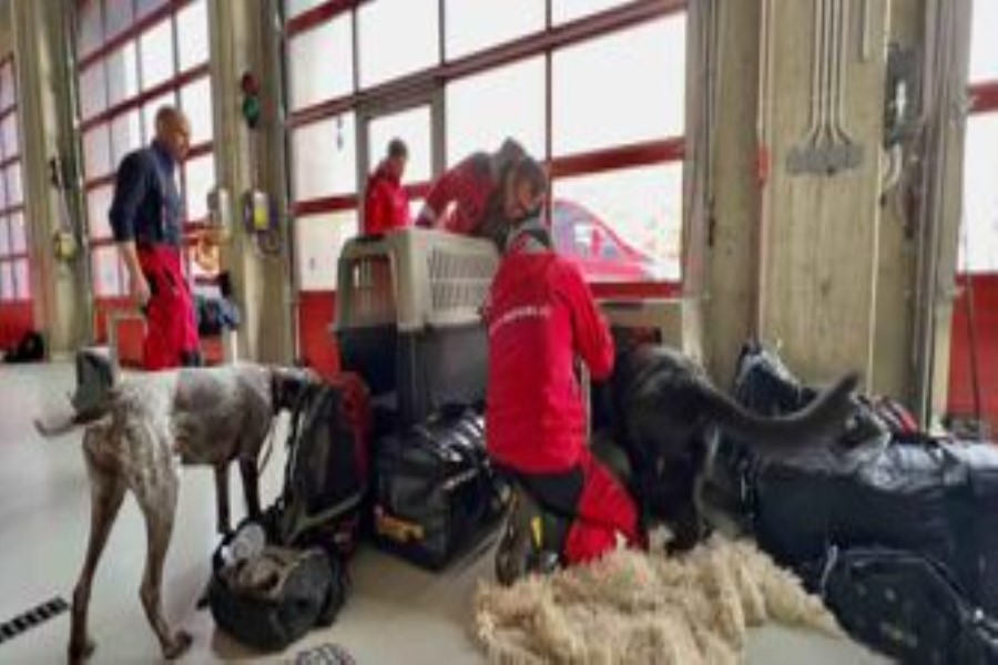 İngiltərədəki türklərdən 10 ton yardım - ÖZƏL