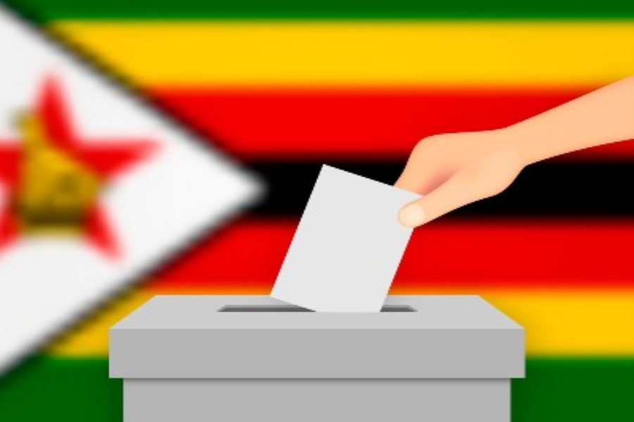 Zimbabve prezidentliyinə 11 namizəd mübarizə aparacaq
