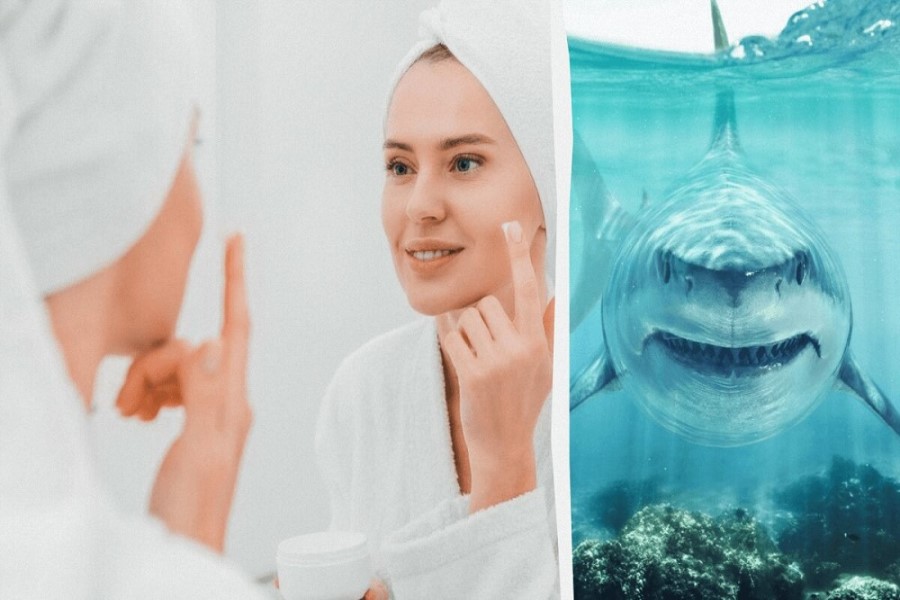 Bir kosmetik tərkib hissəsinə görə yüzlərlə köpək balığı növü yox olmaq riski altındadır