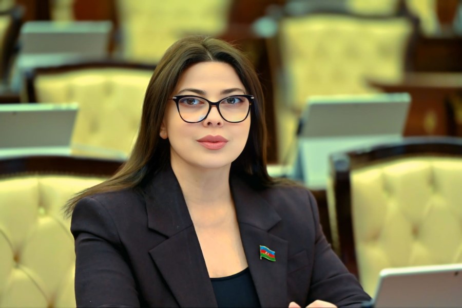 "Vətəndaşların polisə inamı uğurlu dövlət siyasətinin nəticəsidir" - Səbinə Salmanova