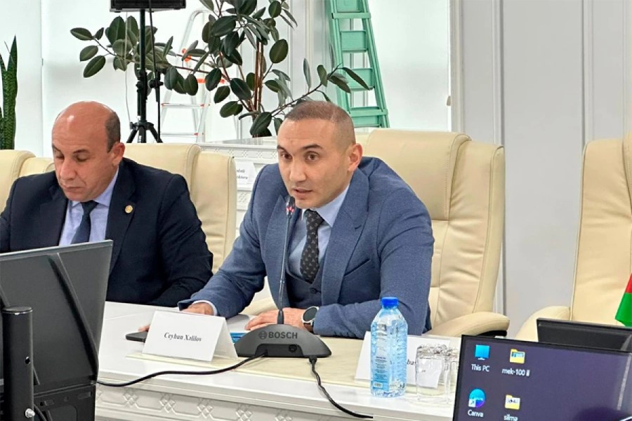 Azərbaycanda alternativ enerji sektorunda icra problemi