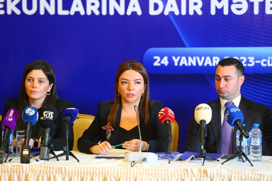 Aygün Əliyeva: QHT nümayəndələrinin mətbuatla əlaqələrində zəiflik var
