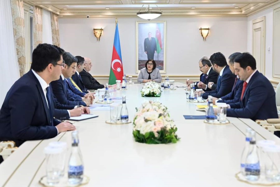 Milli Məclisin sədri Sahibə Qafarova Türkiyə Böyük Millət Məclisinin və Türk Dövlətləri Parlament Assambleyasının nümayəndə heyətləri ilə görüşlər keçirib