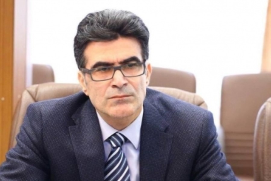 Azərbaycan dağıdılmış ərazilər üçün böyük investisiyalar qoyur - Hüquq müdafiəçisi